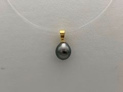 14ct yellow gold pendant with tahitian pearl